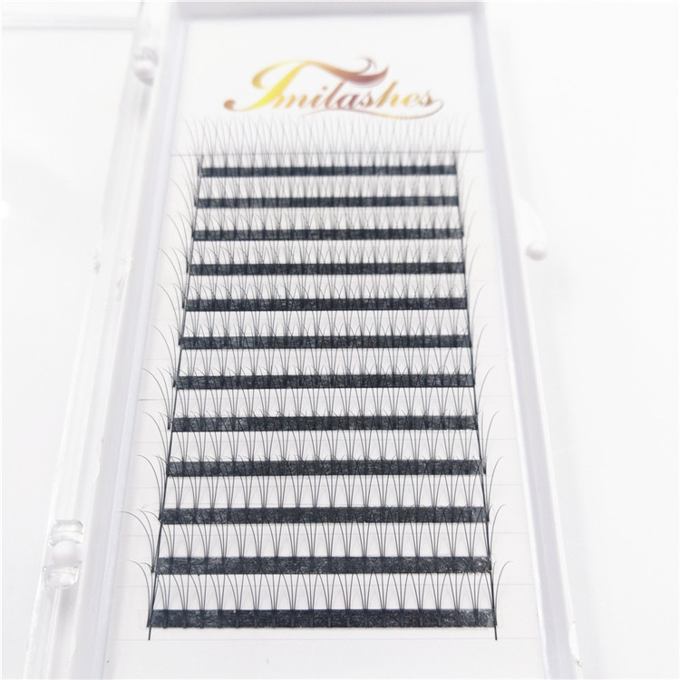 3D Premade volume fans lashes extensions supply-V