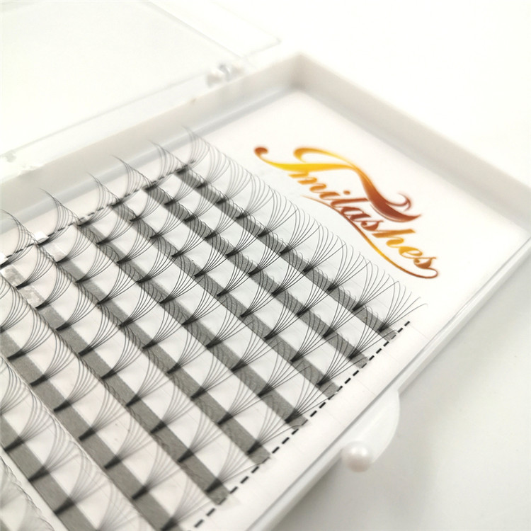 Volume 6d premade lashes eyelash extension manufacturers-  A