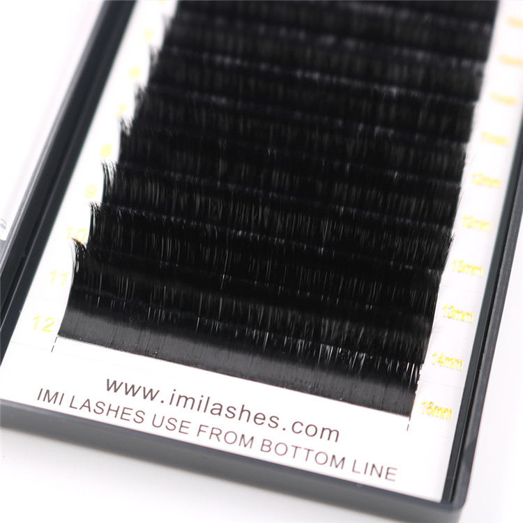 Wholesale easy fans blooming lashes china - A