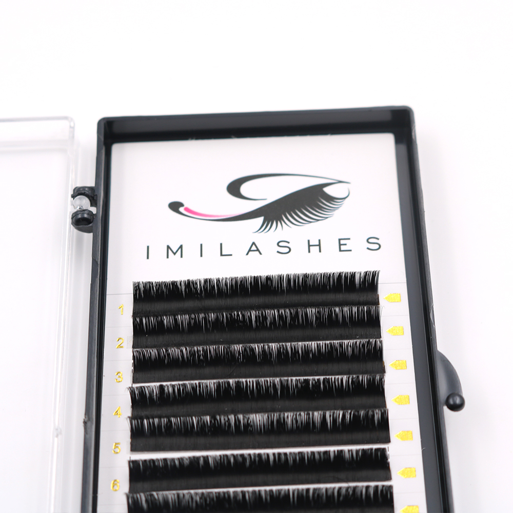 Wholesale customize easy fan blooming eyelash extensions-L