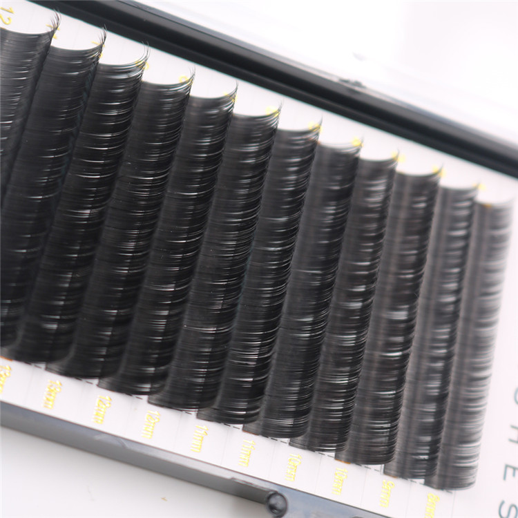 Beautiful ellipse flat eyelash extensions supplies - A