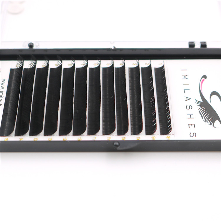 Professional eyelashes manufacturer wholesale high quality lash extensions-V