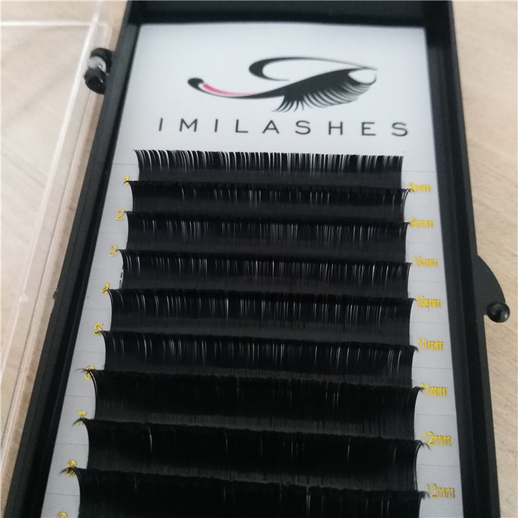 Black ellipse flat individual lashes wholesale-V