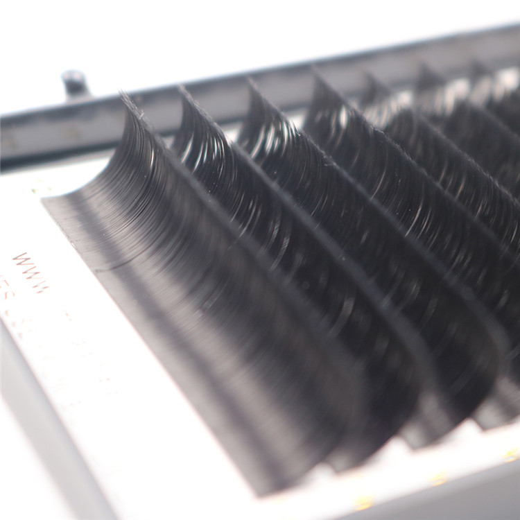 Blooming eyelsh easy fans lash extension wholesale - A