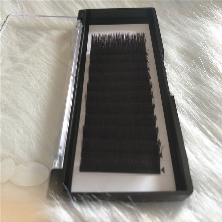 Wholesale 2019 New type of easy fanning individual eyelashes bring to you 