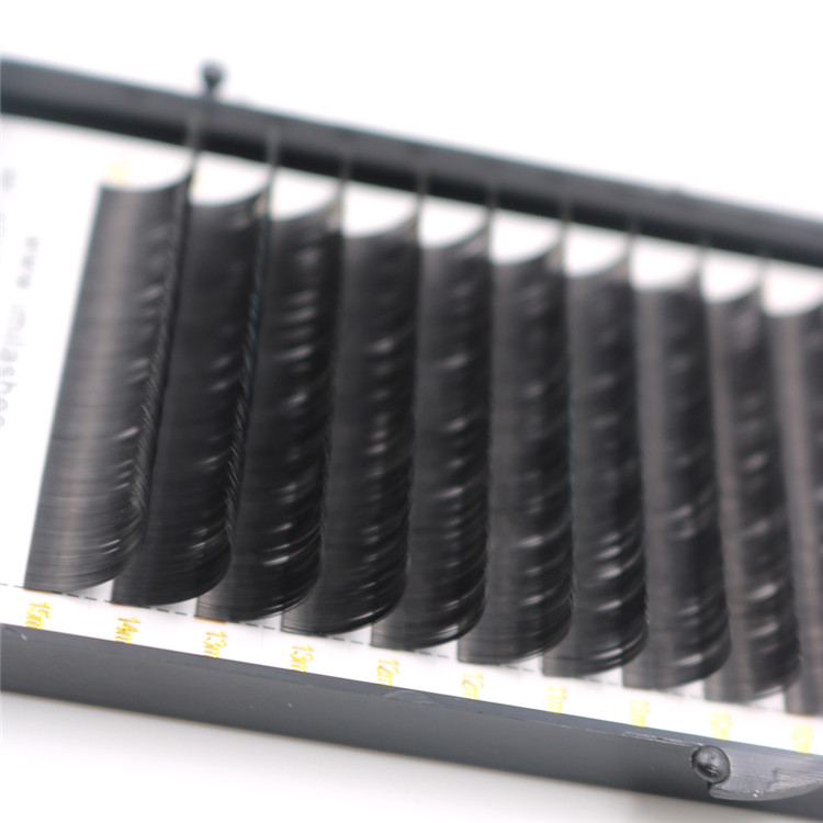 Ellipse eyelash extensions flat lashes trays manufacturer - A