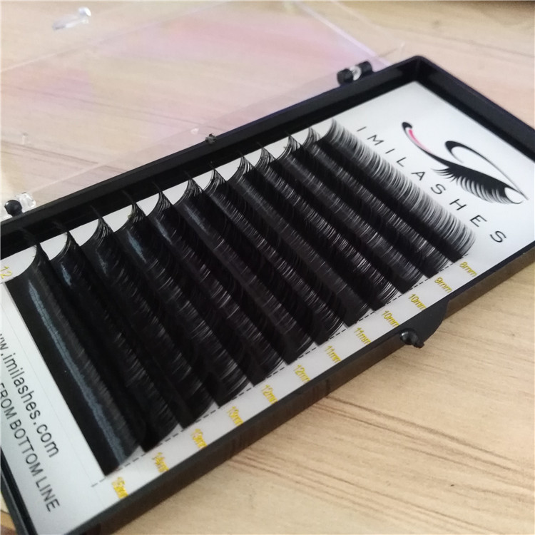 Volume eyelash extensions with competitive price supply-V 