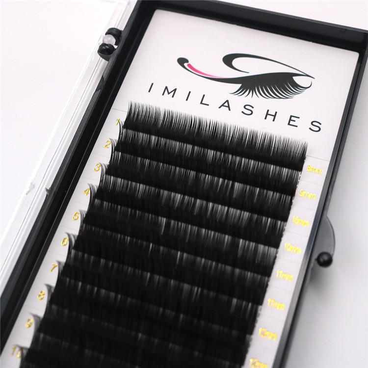 Wholesale premium handmade 0.07C eyelash extensions-L