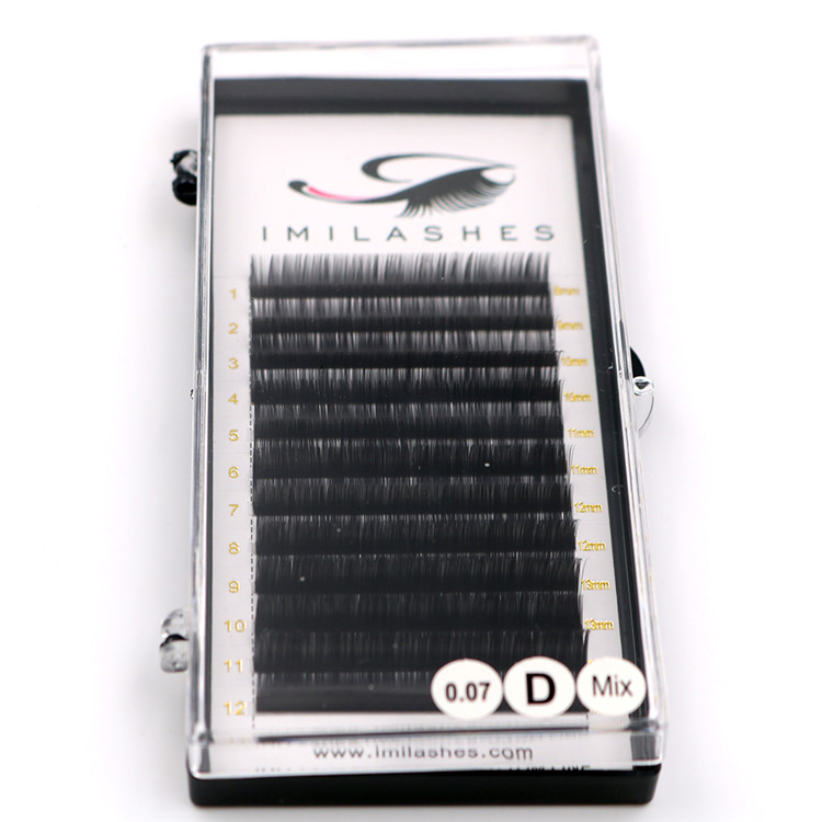  China volume lash extensions near me vendor-L