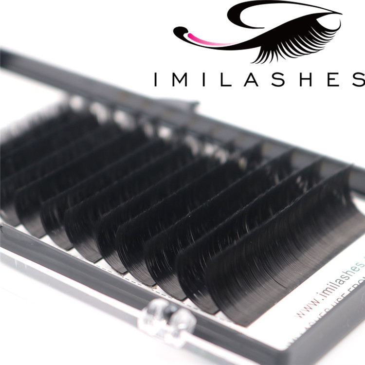 where-can-i-buy-individual-eyelashes.JPG