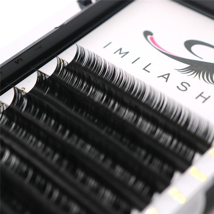 classic-hybrid-lashes.JPG