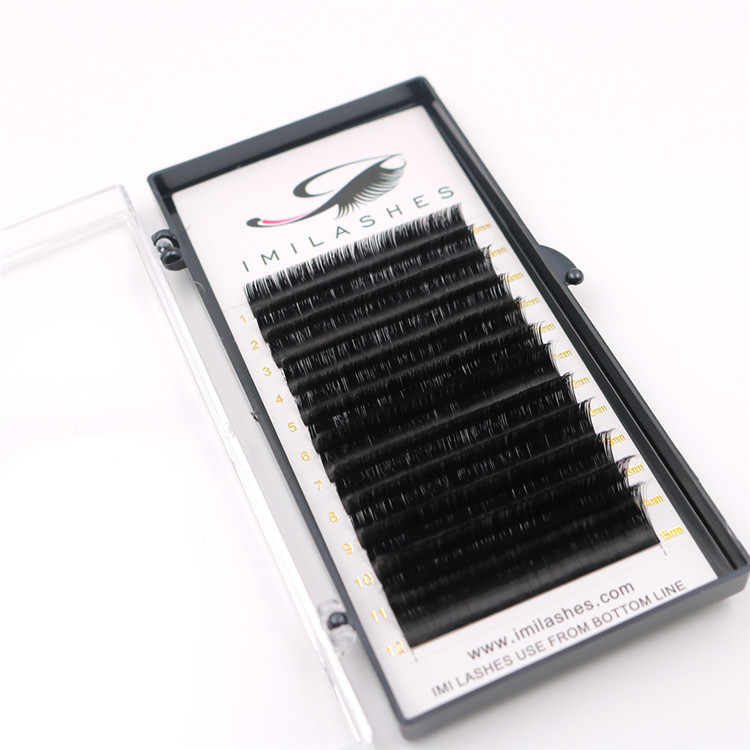 kiss-5-pack-eyelashes.JPG