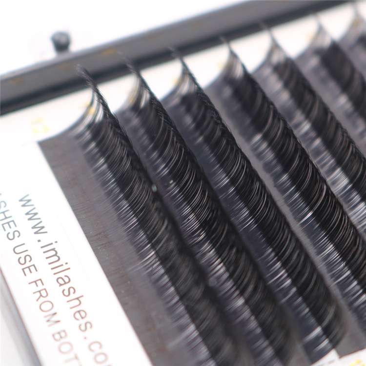 eyelash-extensions-distributor.JPG