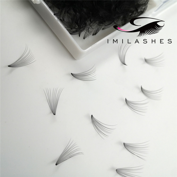 premade-lashes.jpg