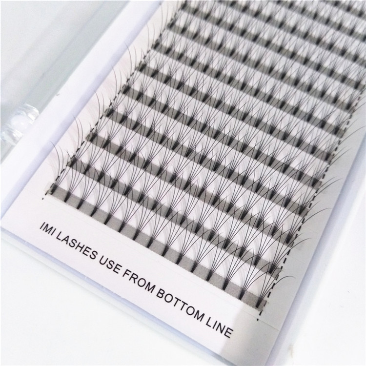 premade-fans-eyelash-extensions.jpg