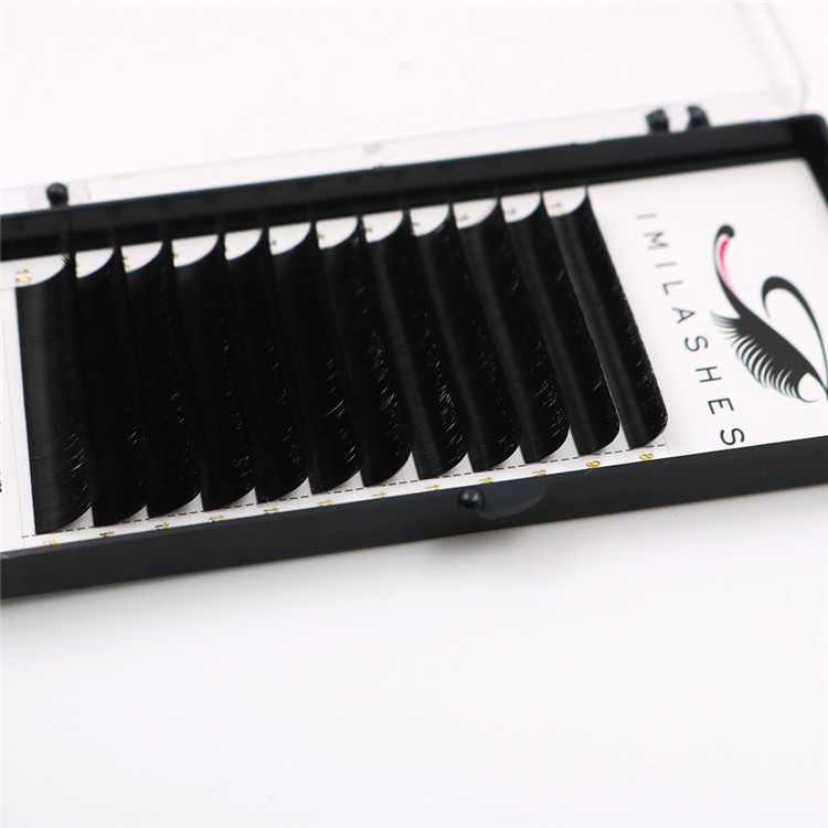 bulk-eyelashes.JPG