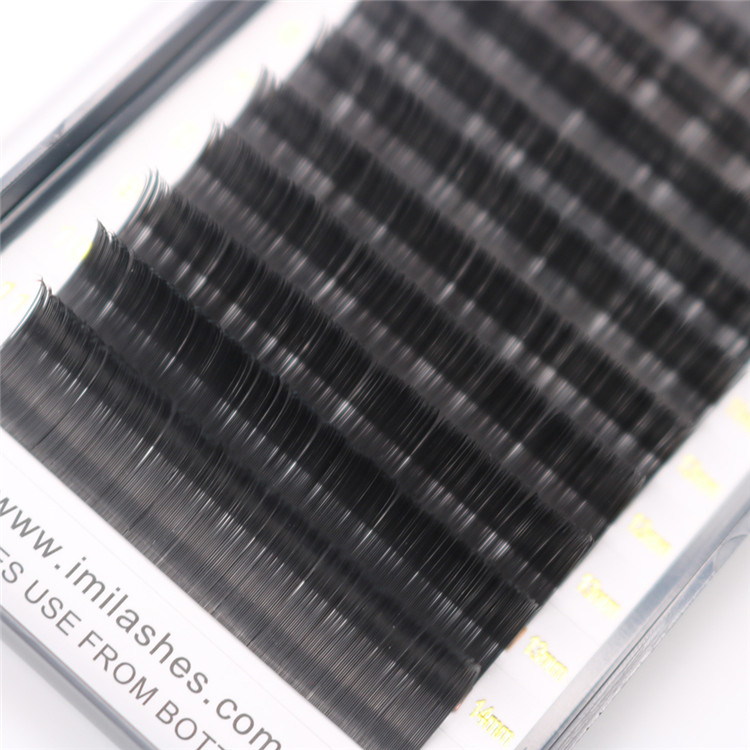 wholesale-individual-eyelashes.JPG