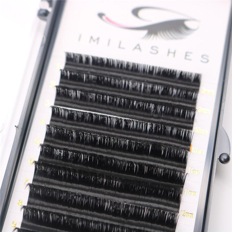 Best Wholesaler of 0.03 0.05 0.07MM Thickness Automatic Blooming Eyelash Extensions-L