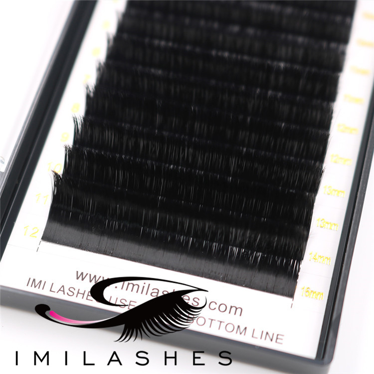 Wholesale best blooming easy fan lashes for lash artist-V