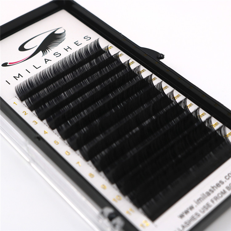 Eyelash extensions Montreal manufacturer wholesaler-L