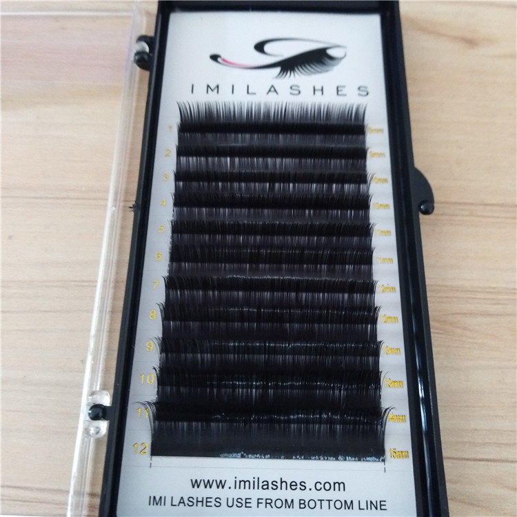 Wholesale high quality mega volume lashes-V