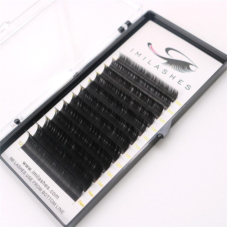 Cashmere flat ellipse natural eyelash extension - A