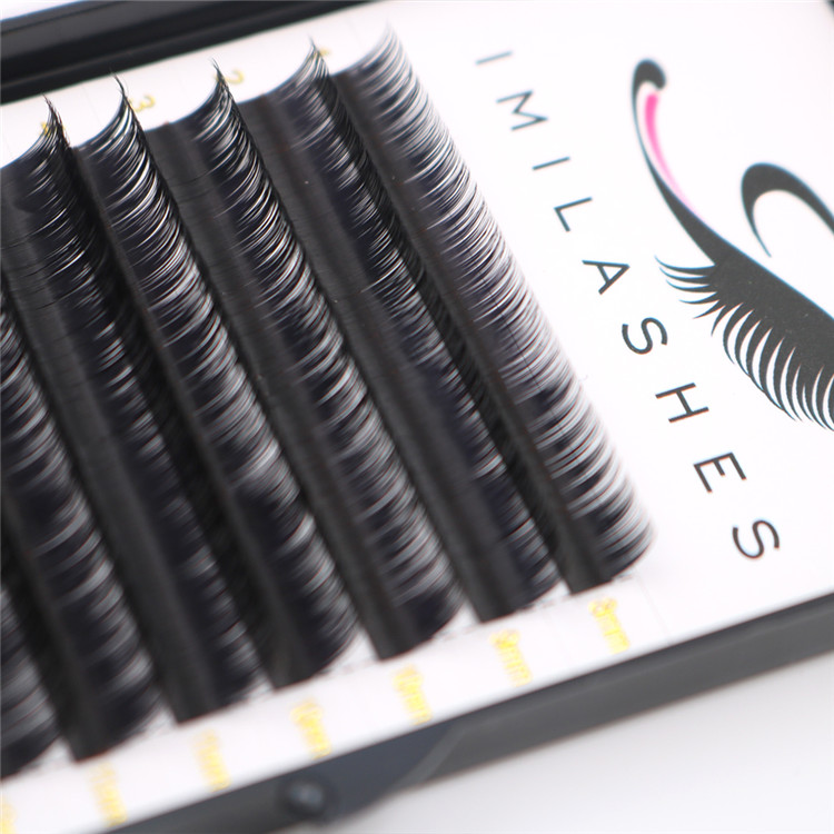 Wholesale 0.05 volume individual lashes extensions-L