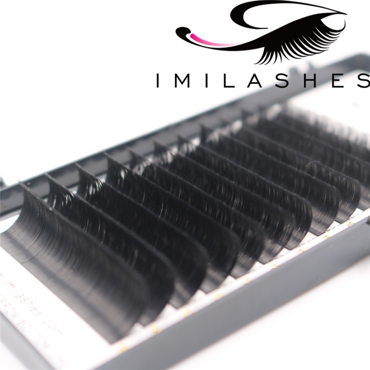 Volume blooming easy fan lash extensions wholesale-V