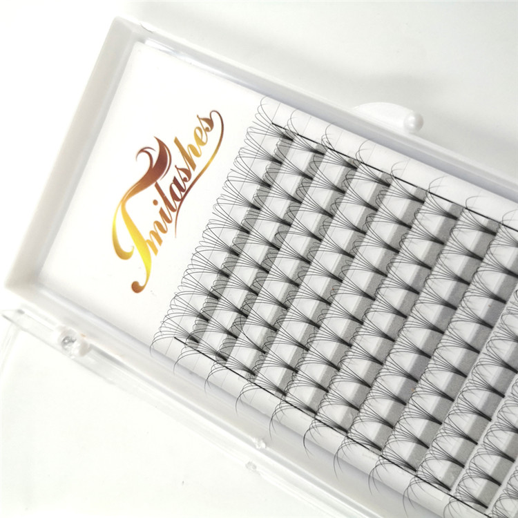Wholesale best 6D volume pre made fan lash extensions-V