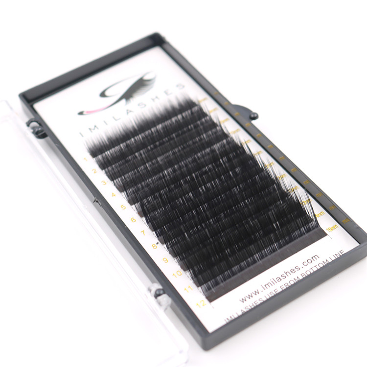 Factory supply private label eye lashes eyelash extension-L