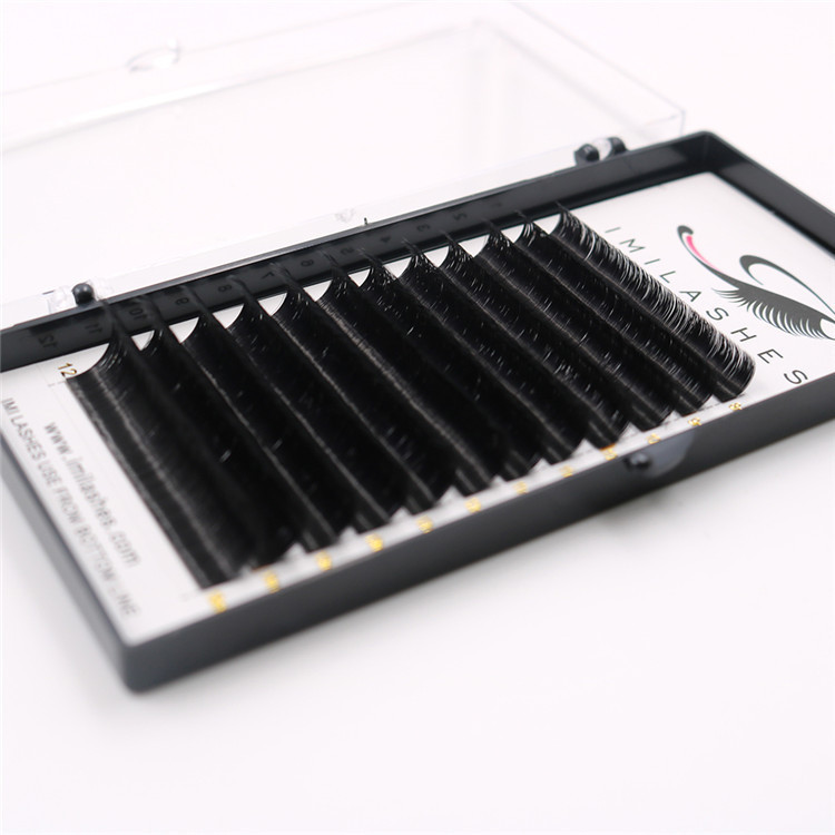 Best Wholesaler of 0.03 0.05 0.07MM Thickness Automatic Blooming Eyelash Extensions-L