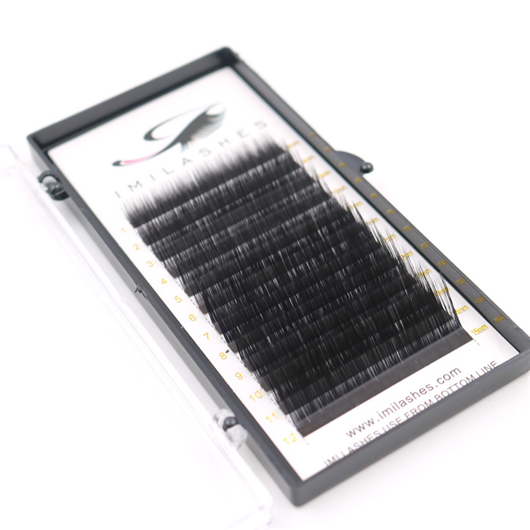 Professional salon use L curl individual lash extensions wholesale-V