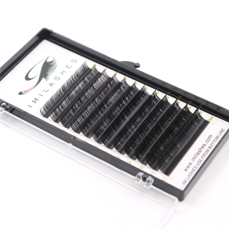 New arrival top quality 0.07 volume eyelash extensions-L