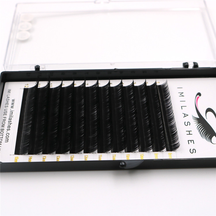  Korean mink volume private label eyelash extensions supplies-L