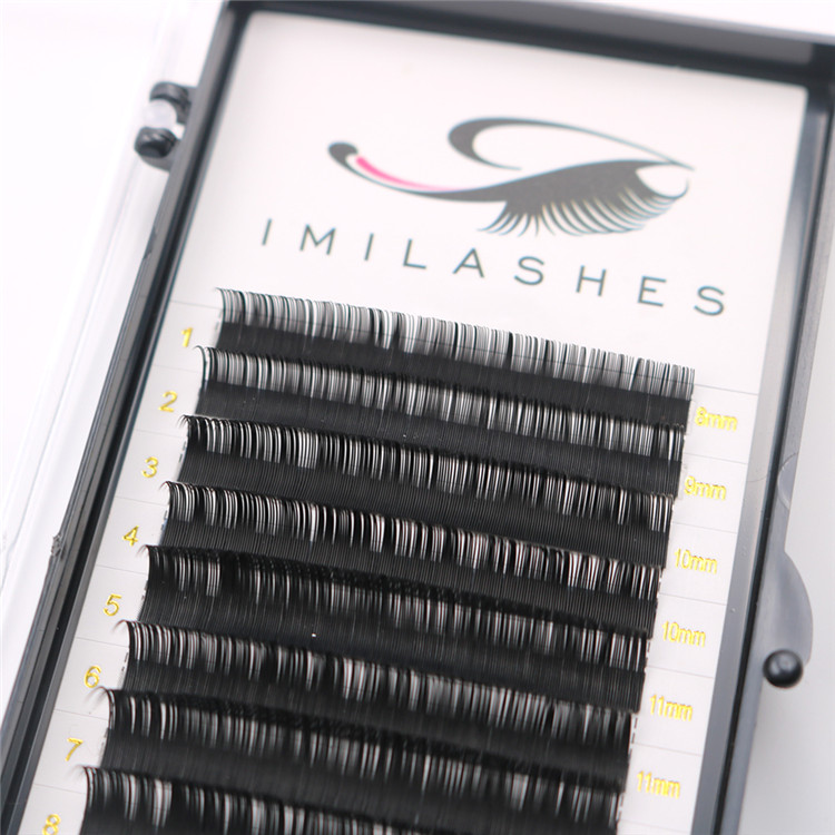 Russian high quality PBT fiber 0.20 classic lash extensions wholesale-V