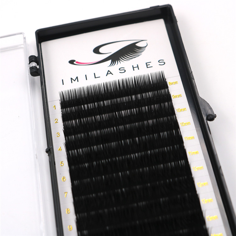 Top quality individual lash extensions supply-V