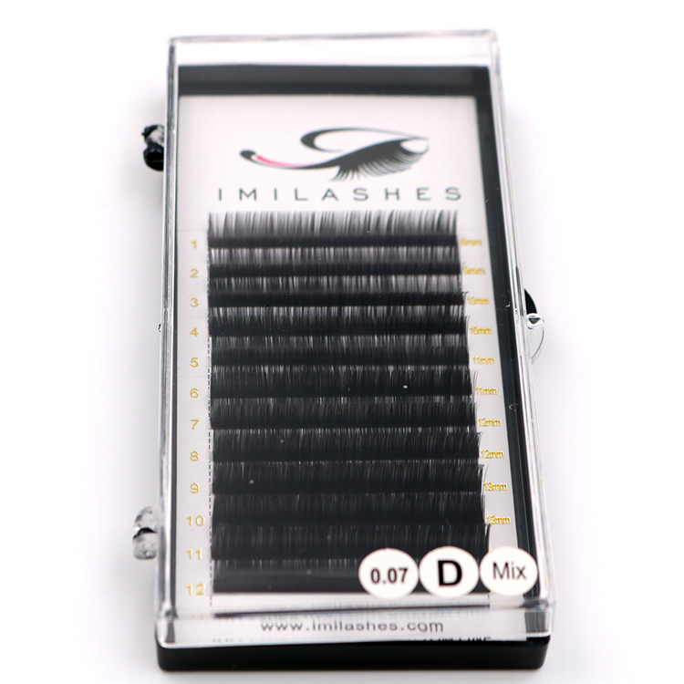 New arrival top quality 0.07 volume eyelash extensions-L